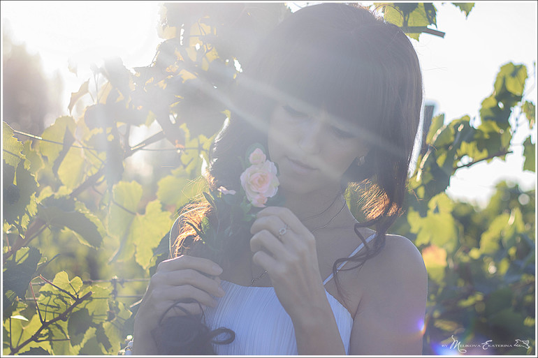 Виноградники Краснодарского края