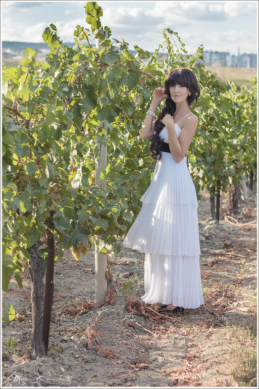 Виноградники Краснодарского края