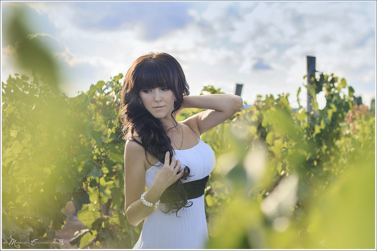 Виноградники Краснодарского края