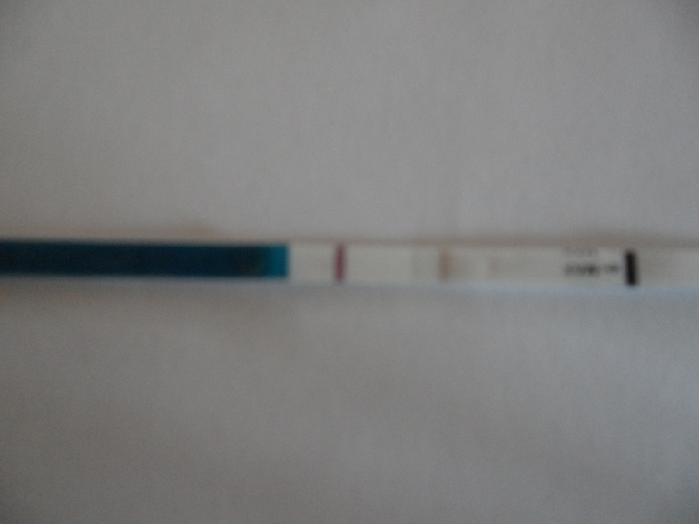 da0ceccea75924a2fcc6010263c47e18.jpg