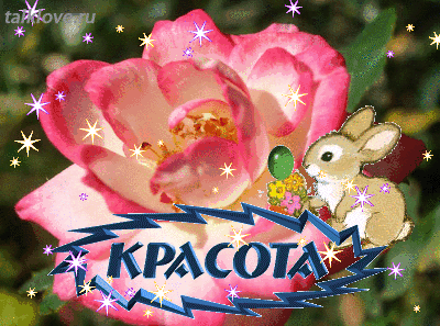 fa957727e57a3ccbebc6b119e5546909.gif
