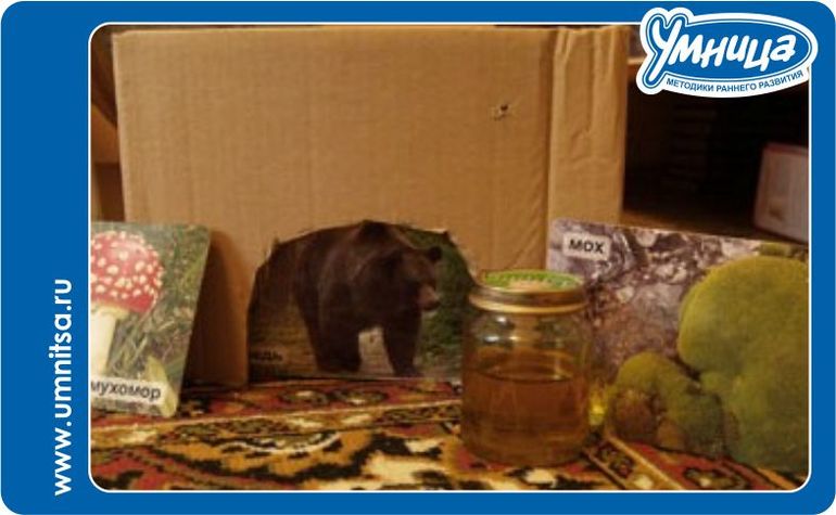 Лес у вас дома: тематическое занятие