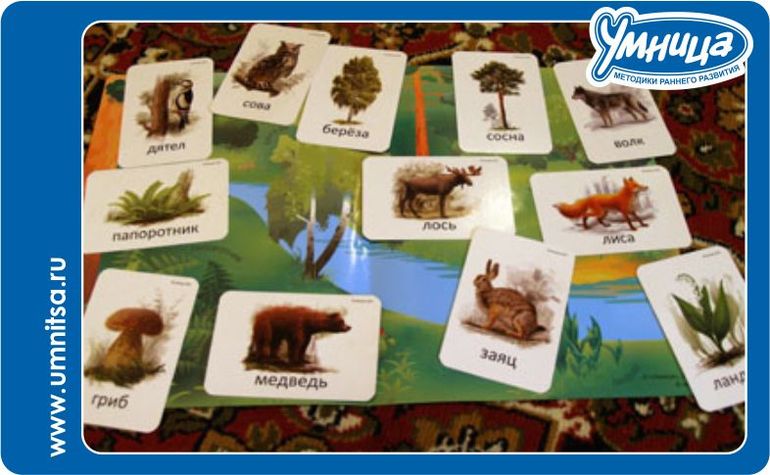 Лес у вас дома: тематическое занятие