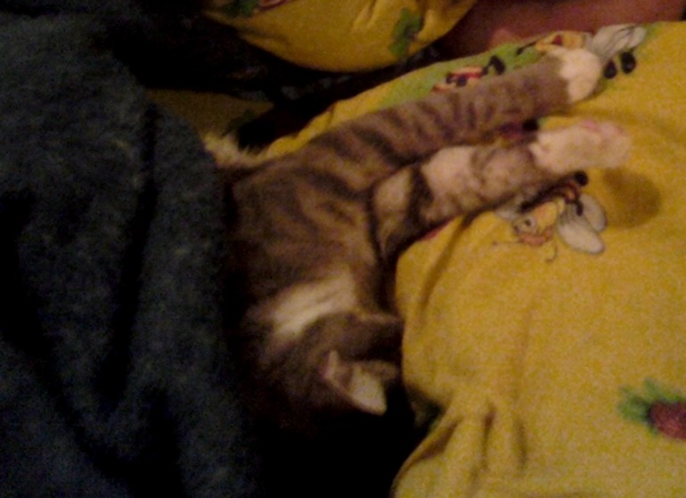 Побег номер 2