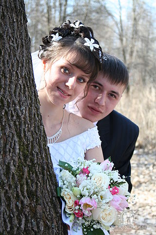 Как называются розы?