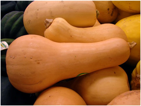 Каролева полей