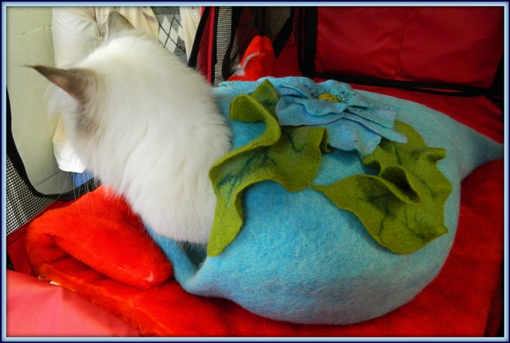 Тили-тили-тили - БОМ! Вот свалялся кошкин дом! ))))