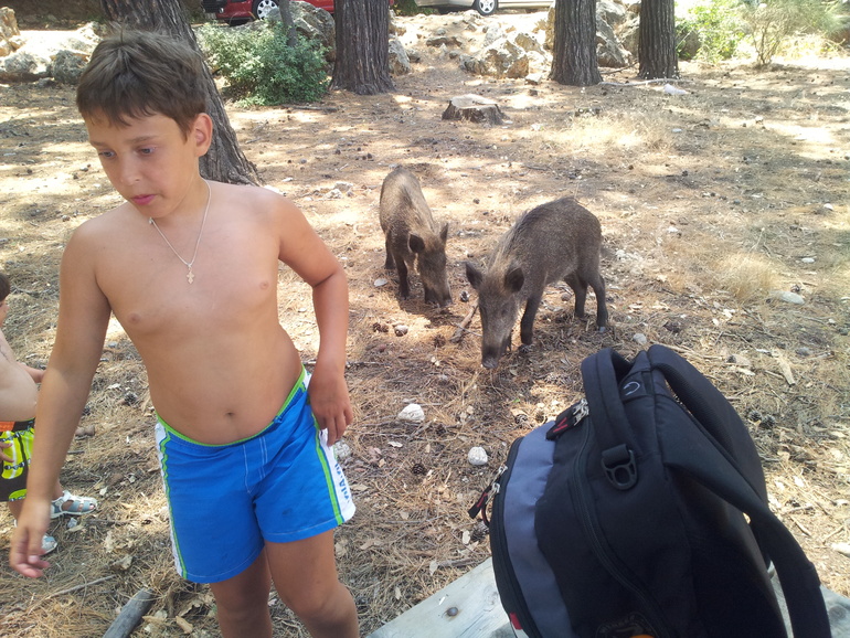 Наши турецкие приключения или не