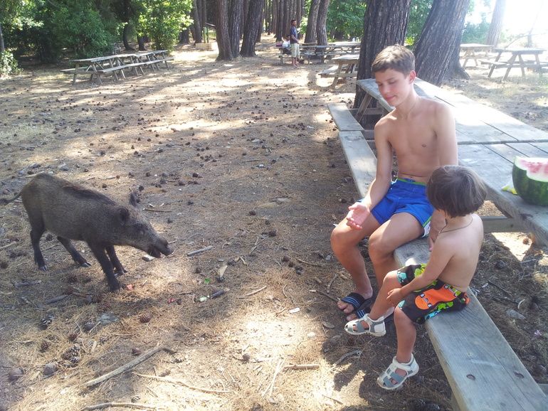 Наши турецкие приключения или не