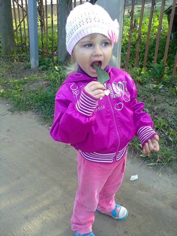 Милашка на участке ( нашего дома ) ... много фото )))