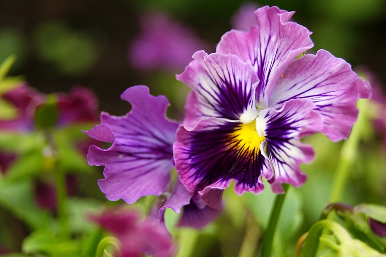 Покритикуйте, пожалуйста!