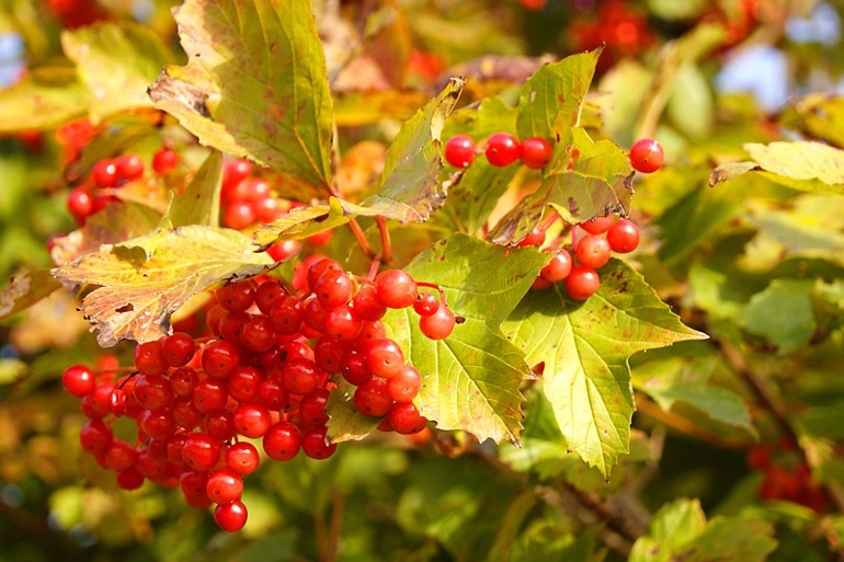 Покритикуйте, пожалуйста!