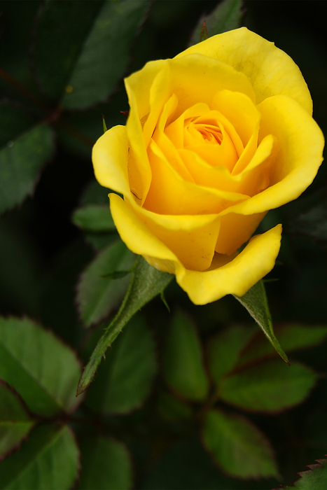 Покритикуйте, пожалуйста!