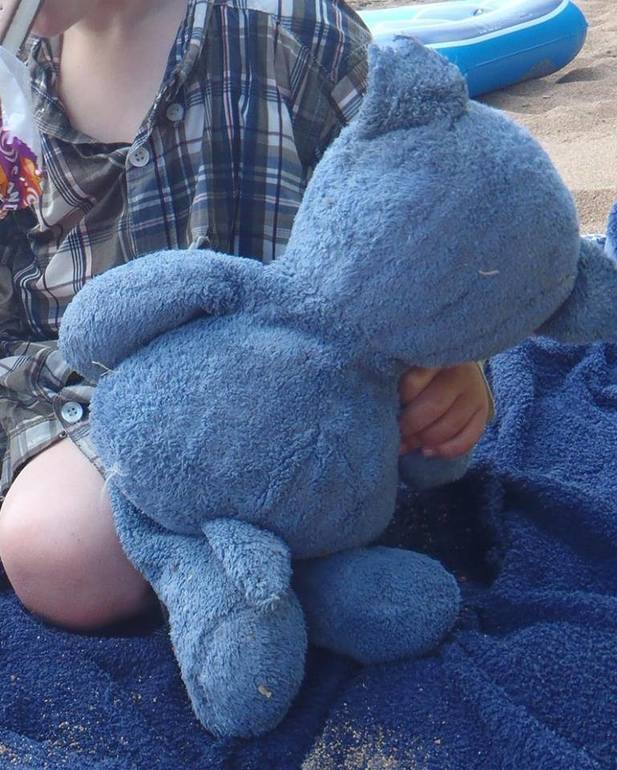 Пропал друг, синий медведь. Перепост