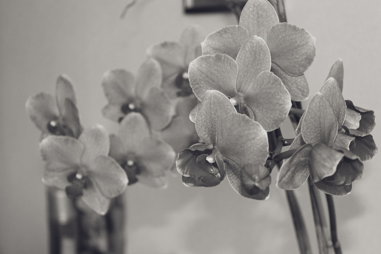 Контрольное задание № 19. Делаем черно-белое фото в Photoshop