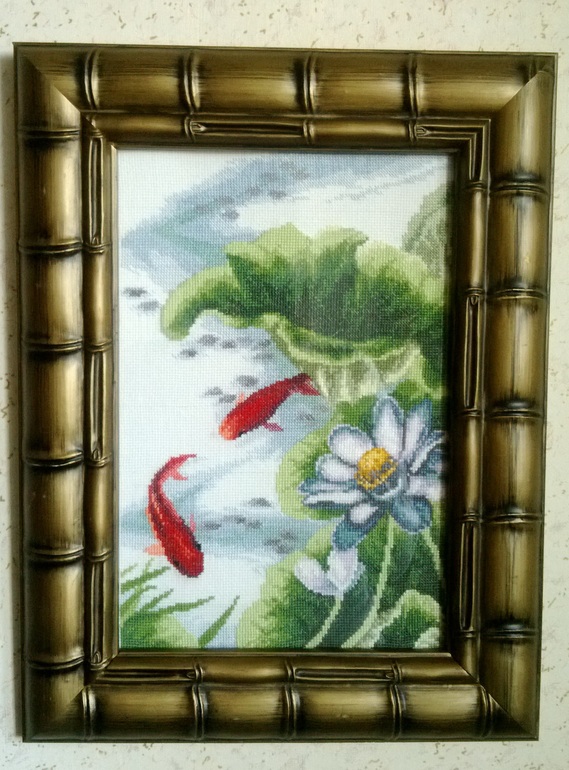 оформленные Карпы ЧМ