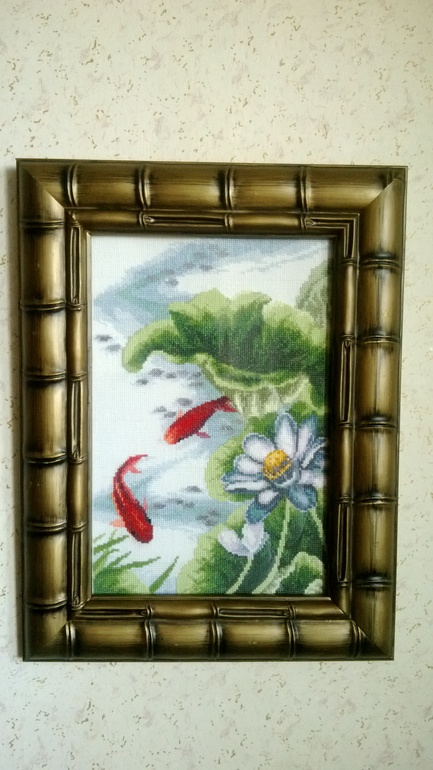 оформленные Карпы ЧМ