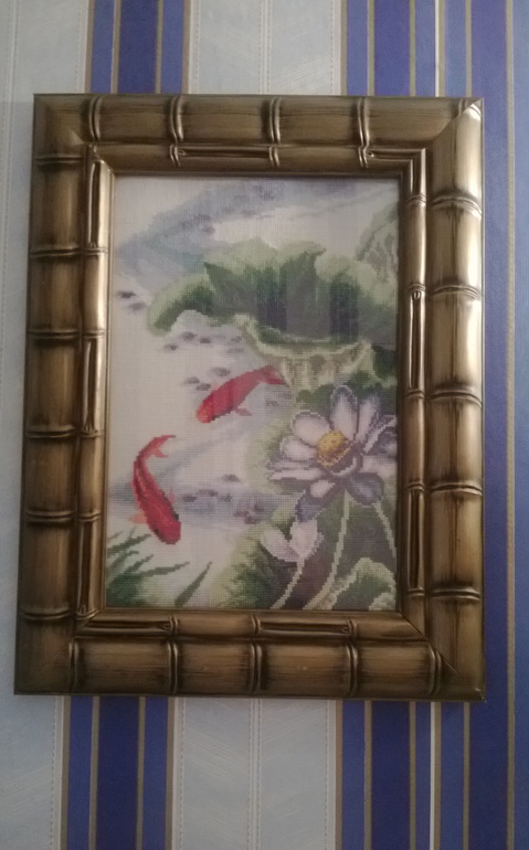 оформленные Карпы ЧМ