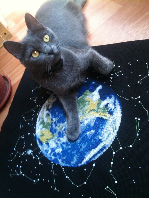 Котэ захватывает мир=)