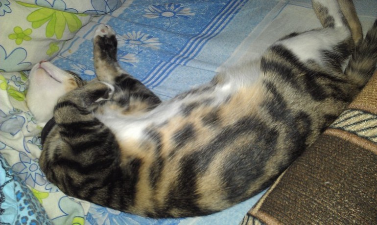 Мой хулиганчик.