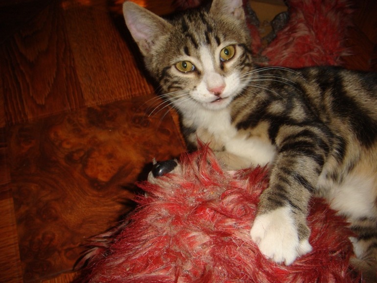 Мой хулиганчик.