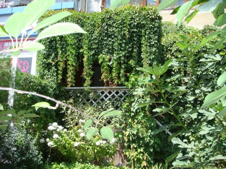 Мой хулиганчик.