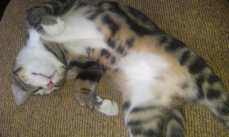 Мой хулиганчик.