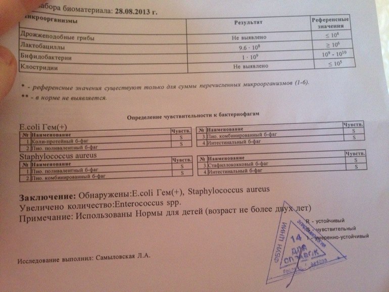 стафилокок