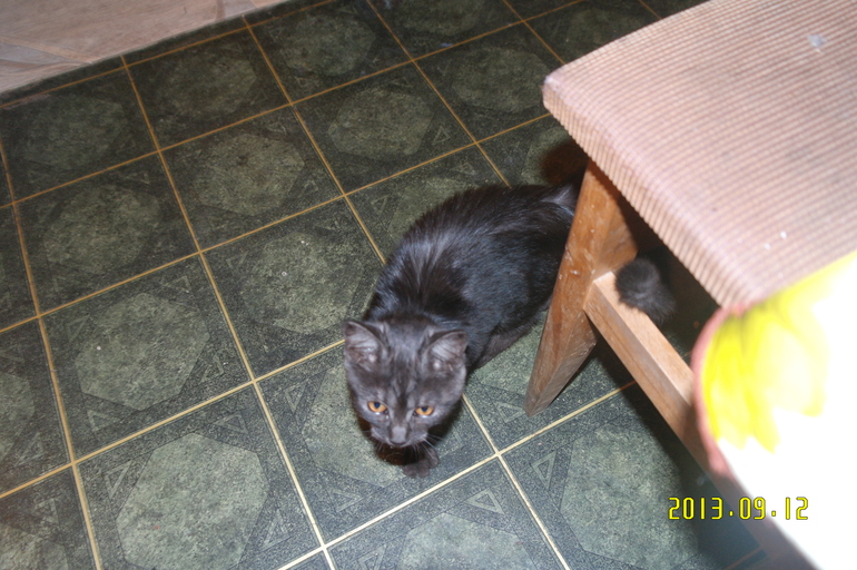 Ну еще мои новостя .