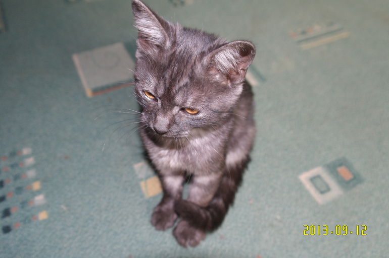 Ну еще мои новостя .