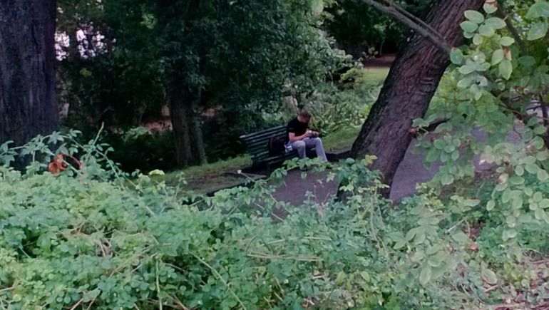 Милан-Венеция-Рим