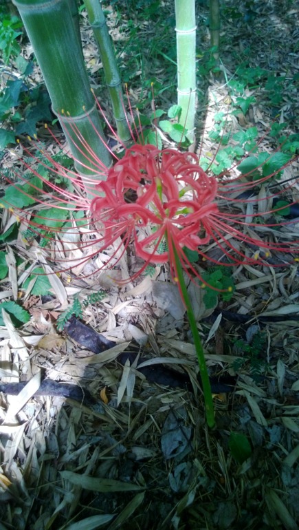 Милан-Венеция-Рим