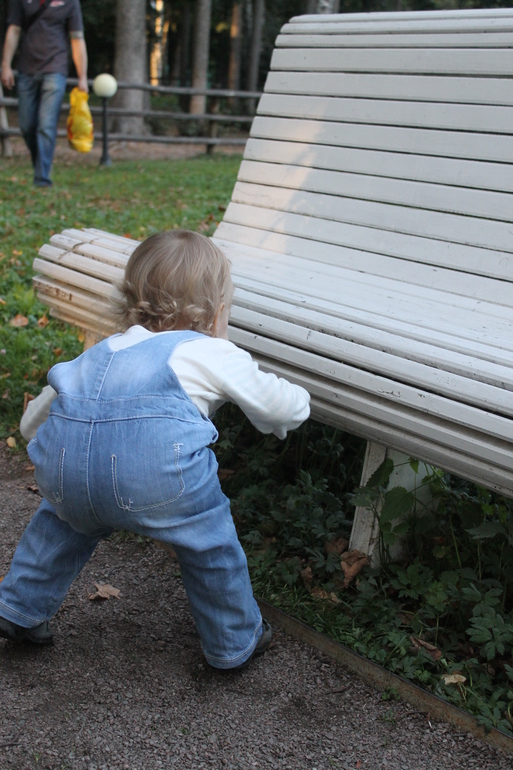 Открыла новое место для прогулок