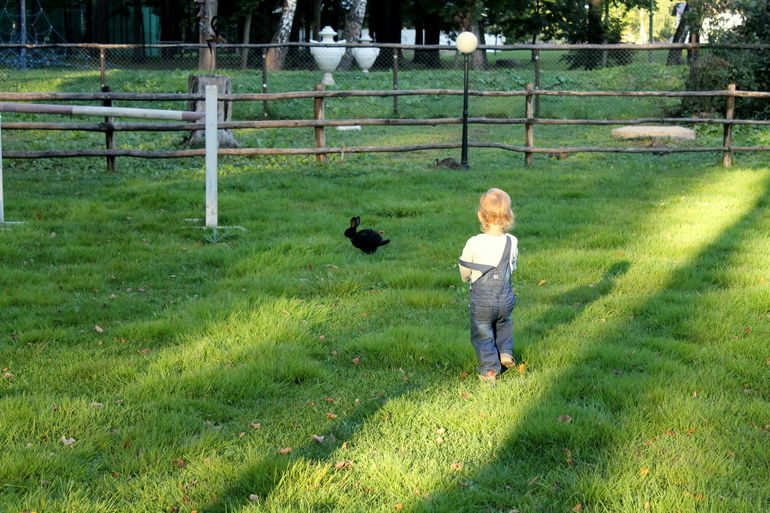 Открыла новое место для прогулок