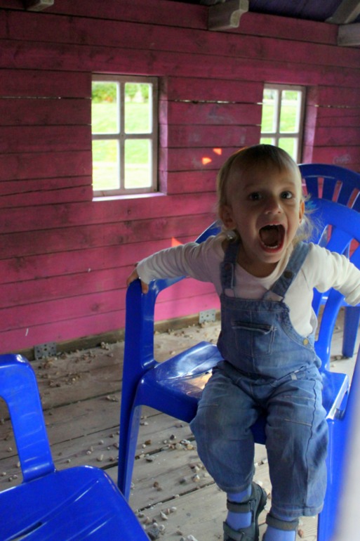 Открыла новое место для прогулок