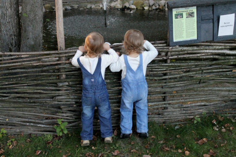 Открыла новое место для прогулок