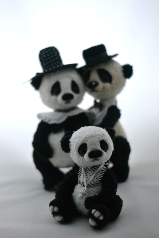 Panda's Family