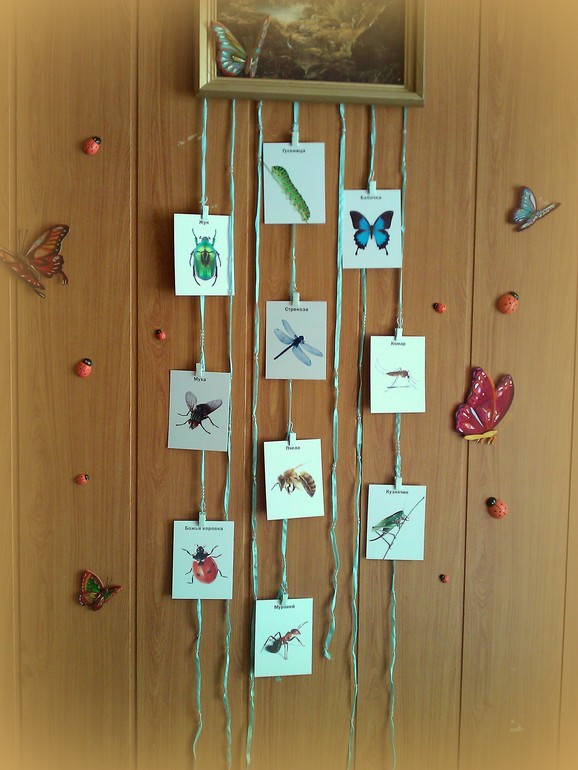 ТН Букашки (Насекомые)