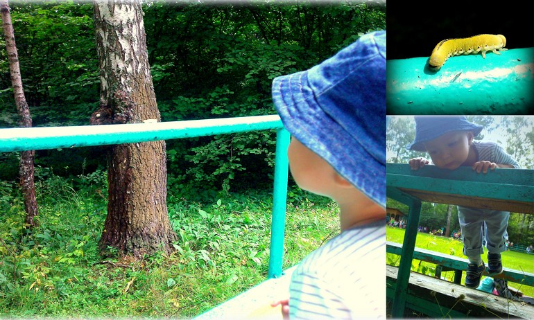 ТН Букашки (Насекомые)