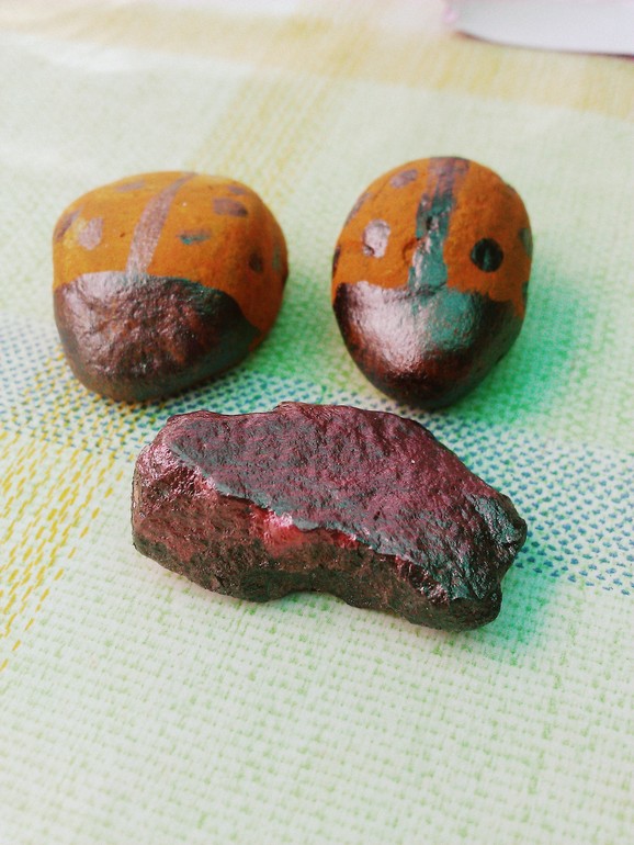 ТН Букашки (Насекомые)