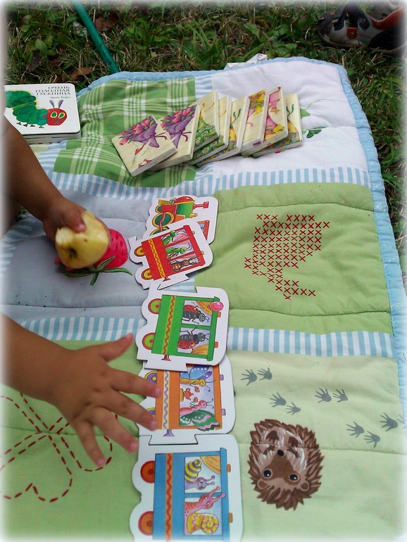 ТН Букашки (Насекомые)