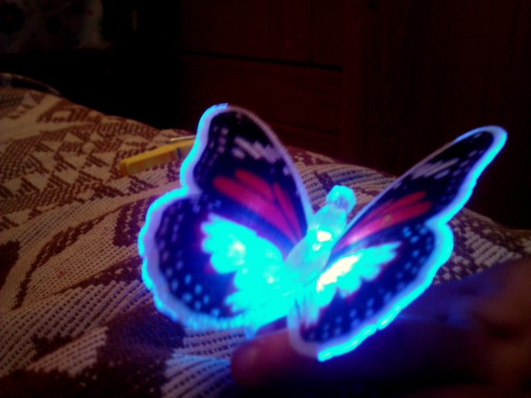 ТН Букашки (Насекомые)