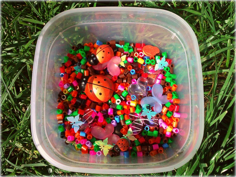 ТН Букашки (Насекомые)