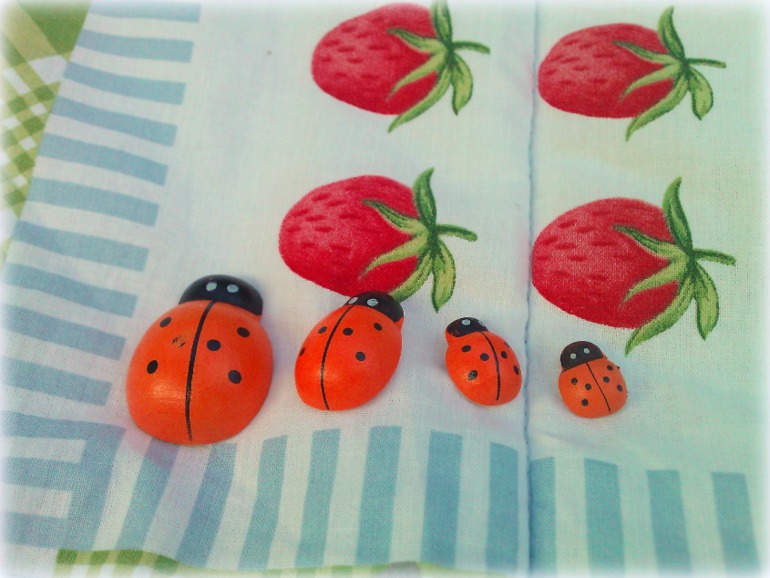 ТН Букашки (Насекомые)