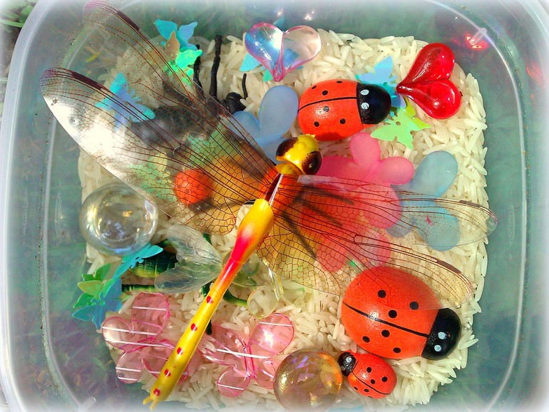 ТН Букашки (Насекомые)