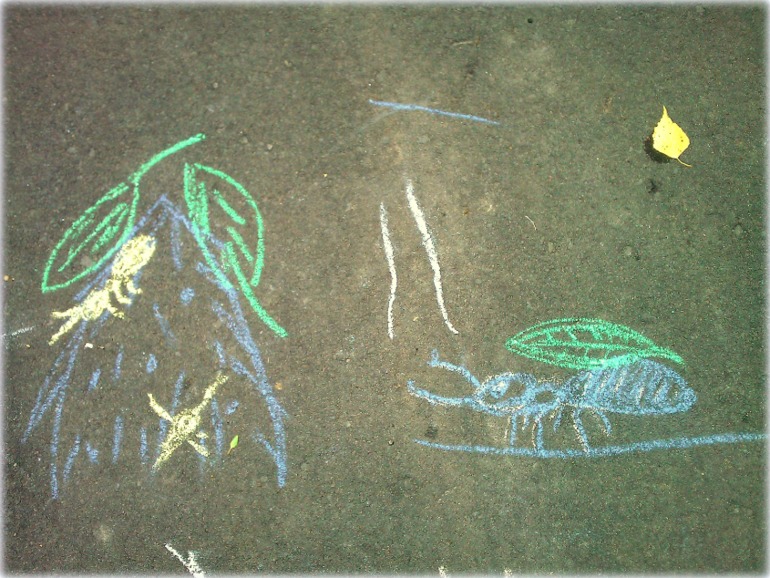 ТН Букашки (Насекомые)