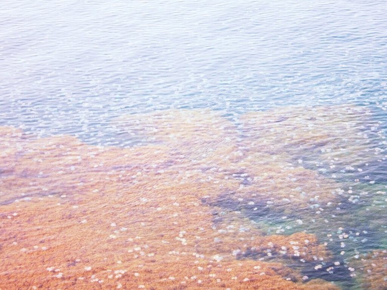 Покорители Тарханкута. Июль 2013.