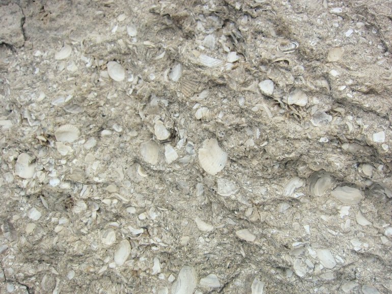 Покорители Тарханкута. Июль 2013.