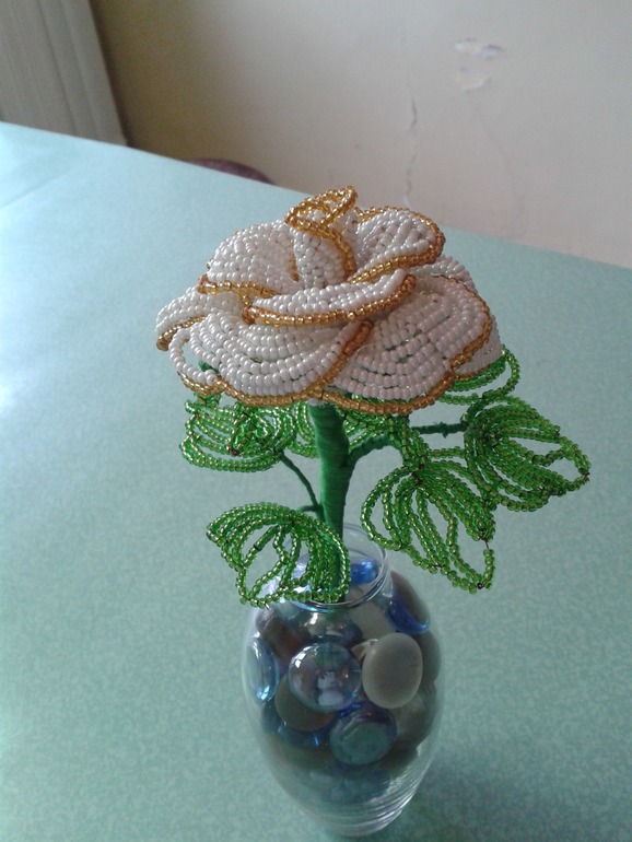 Моя первая роза))))