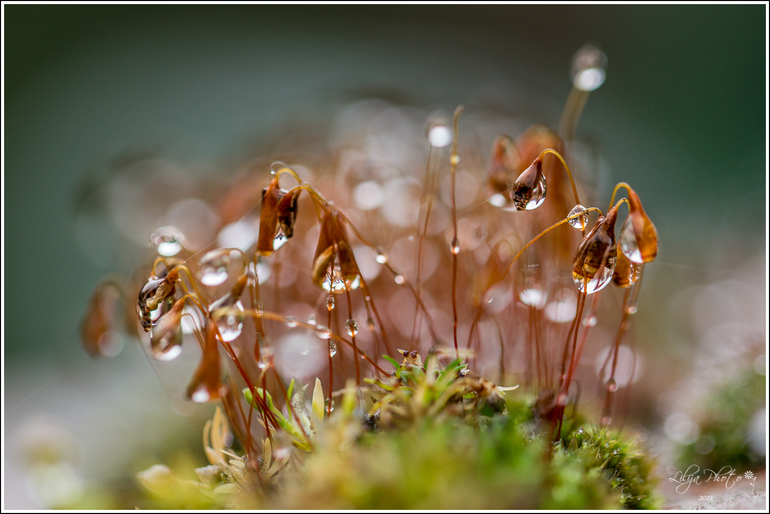 Один дождливый день